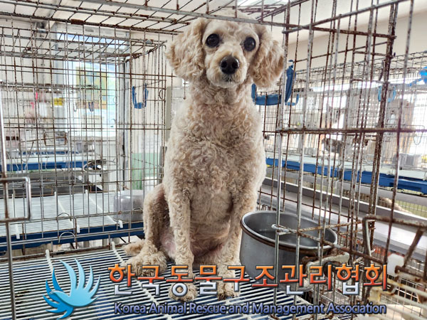 한국동물구조관리협회_411309202300299